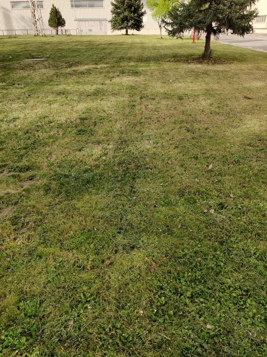 Професионално косене на трева и почистване на дворове