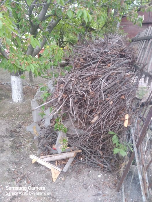 Farg‘ona Quvasoyda tayyor boylangan o‘tinlar bor