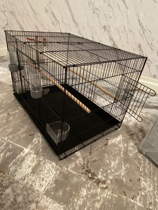 Паровичные клетки