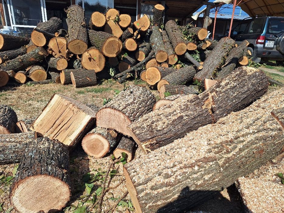 Рязане на дърва за огрев по домовете .