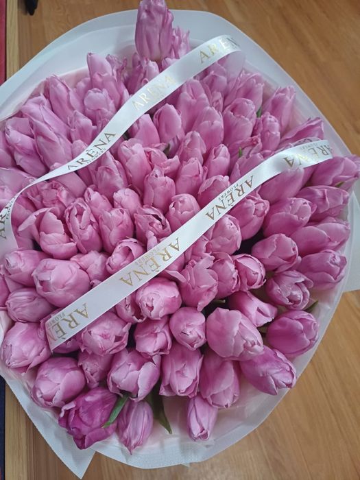101 тюлпанов свежие