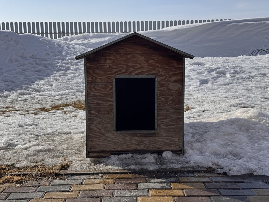 Бутка для собаки