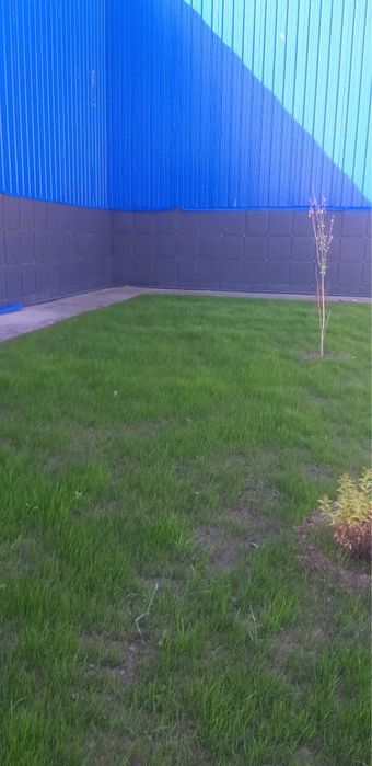 Посевной газон Под ключ