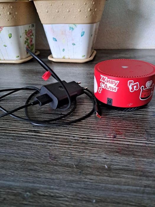 Алиса сатылады   Бағасы 20000 тг