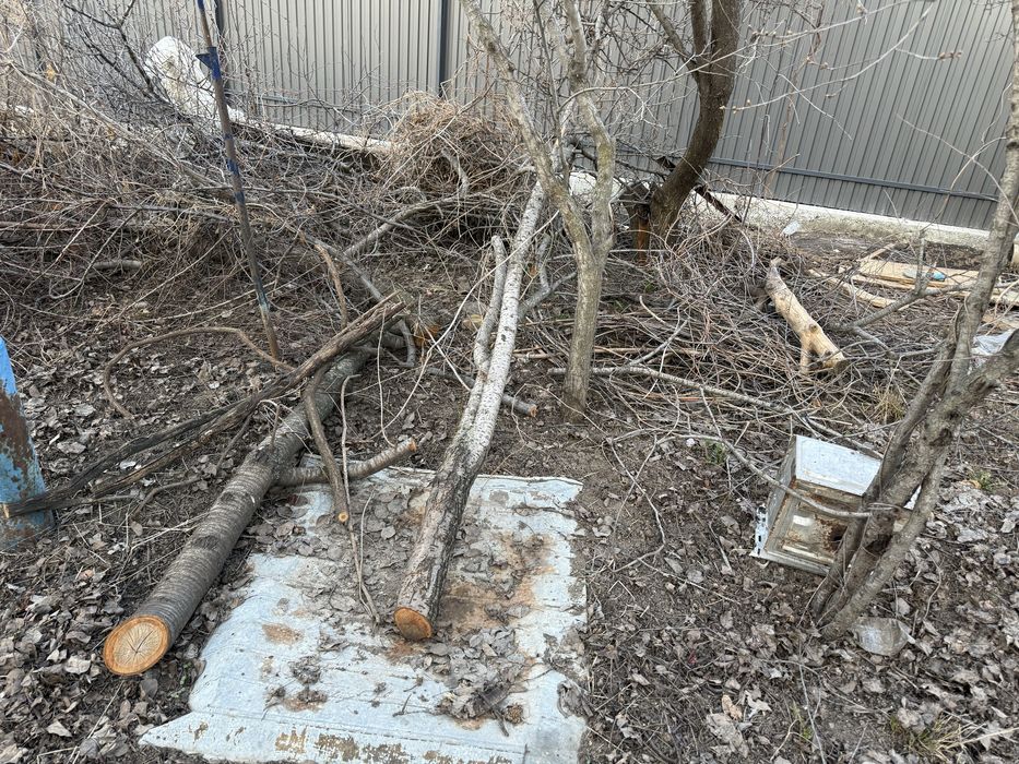 Дрова даром самовывоз