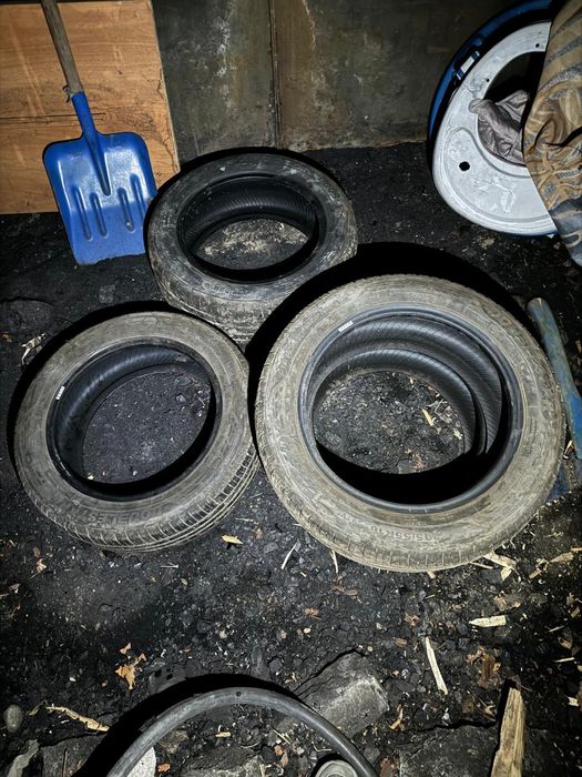 DoubleStar Maximum DH08