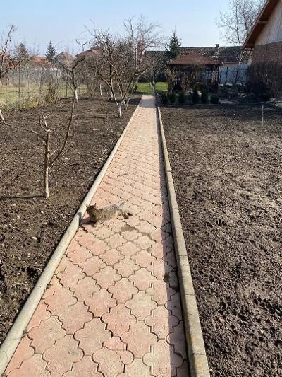 Casã de vânzare cu grădină