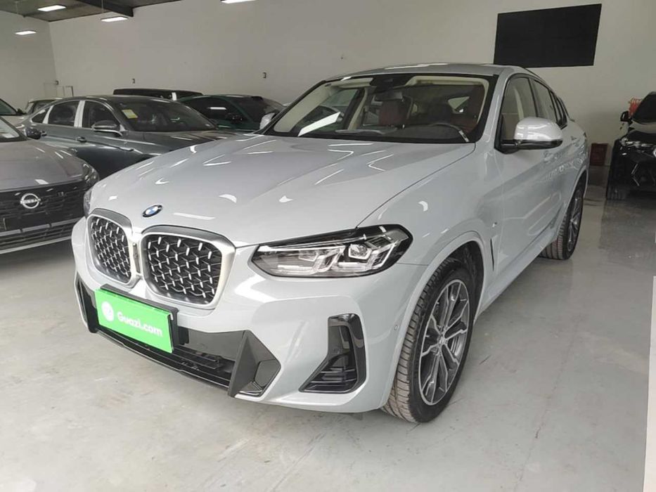 BMW X4 xDrive 30i M Sport Package