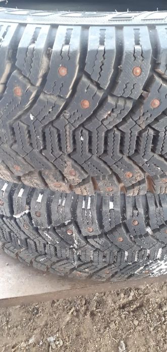 Шипованная резина