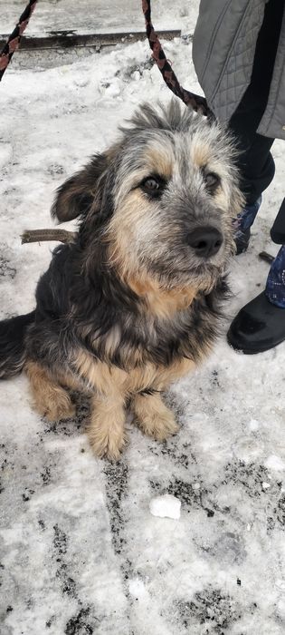 Отдаем девчулек - красотулек ответственным  людям.