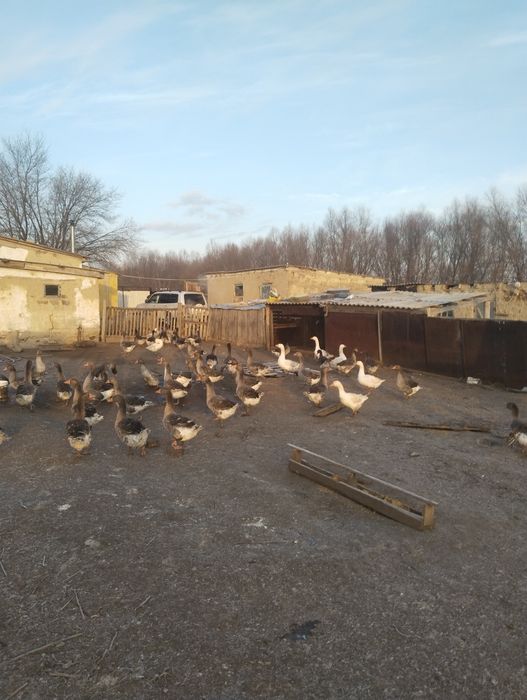 Жер уй сатылады срочно