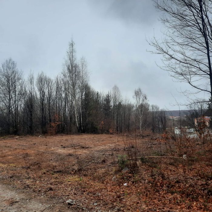 Vând teren 1000 mp (10 ari) – Drăguș, zonă turistică de top