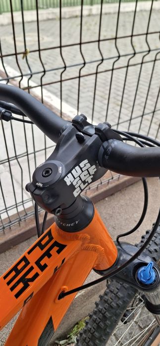 KTM PEAK 29  custom
