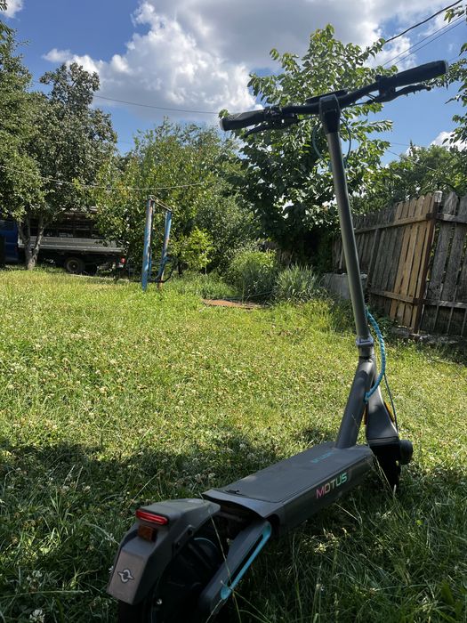 vand trotineta motus t10 max