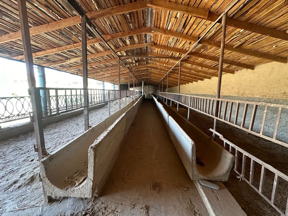 Denov tuman Daxana mahallada hovli sotiladi