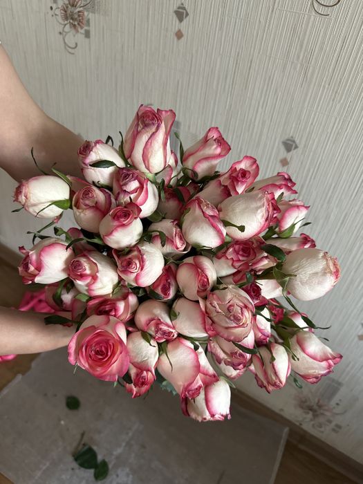 31 розовые розы.