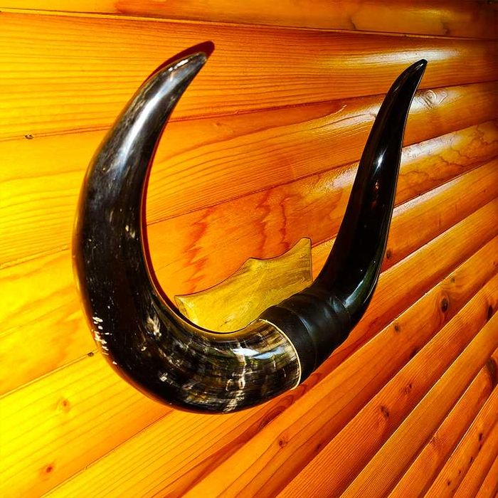 Декорация от рога на воден бивол