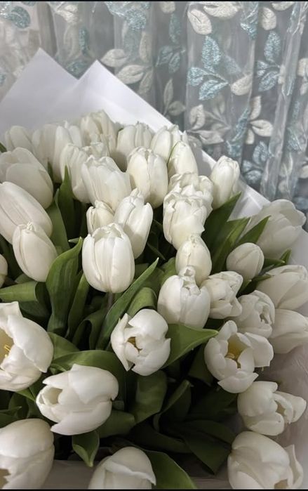 гул сатам срочно