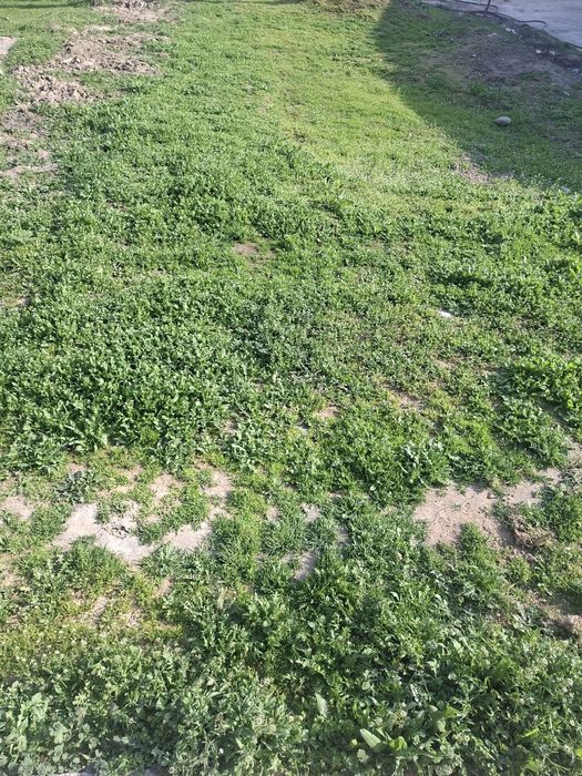 Yer sotiladi uchaska