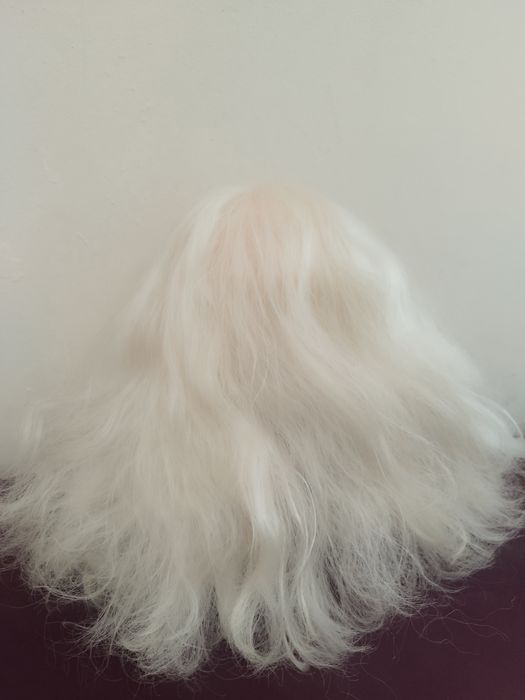 Модел за прически Елза