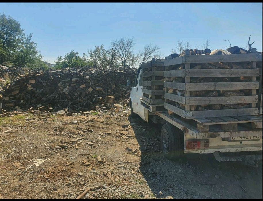 Дърва за Огрев 2024