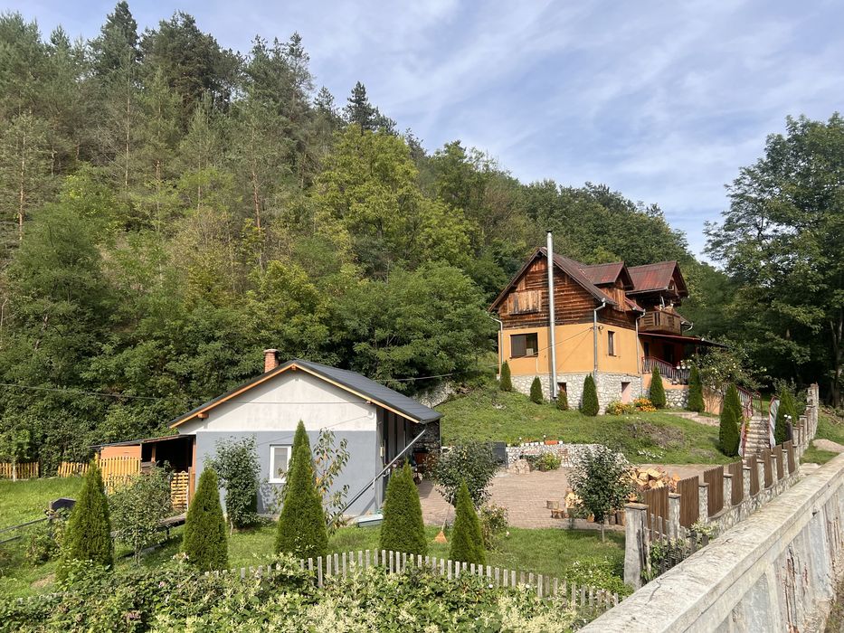 Vand casă la munte, Ocoliș, jud Alba!