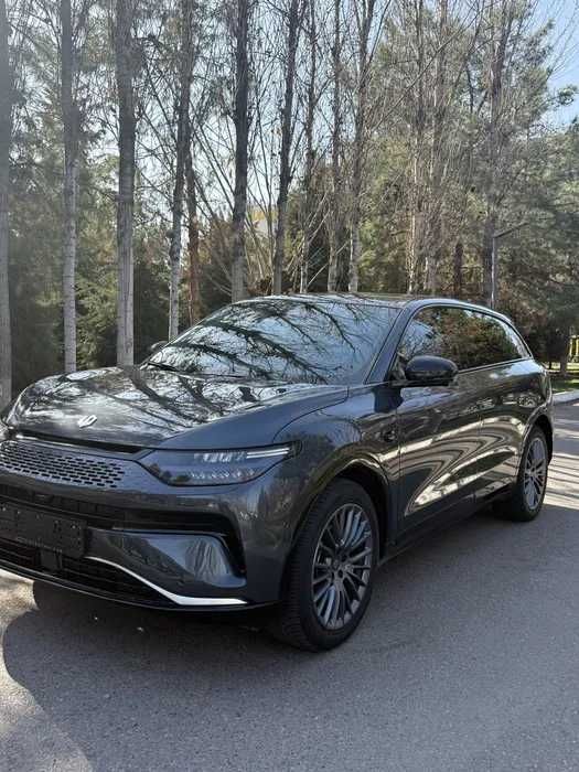 leapmotor c11 pad zakaz