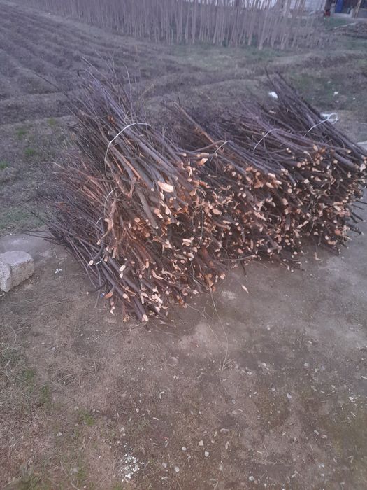 Майда утин богланган