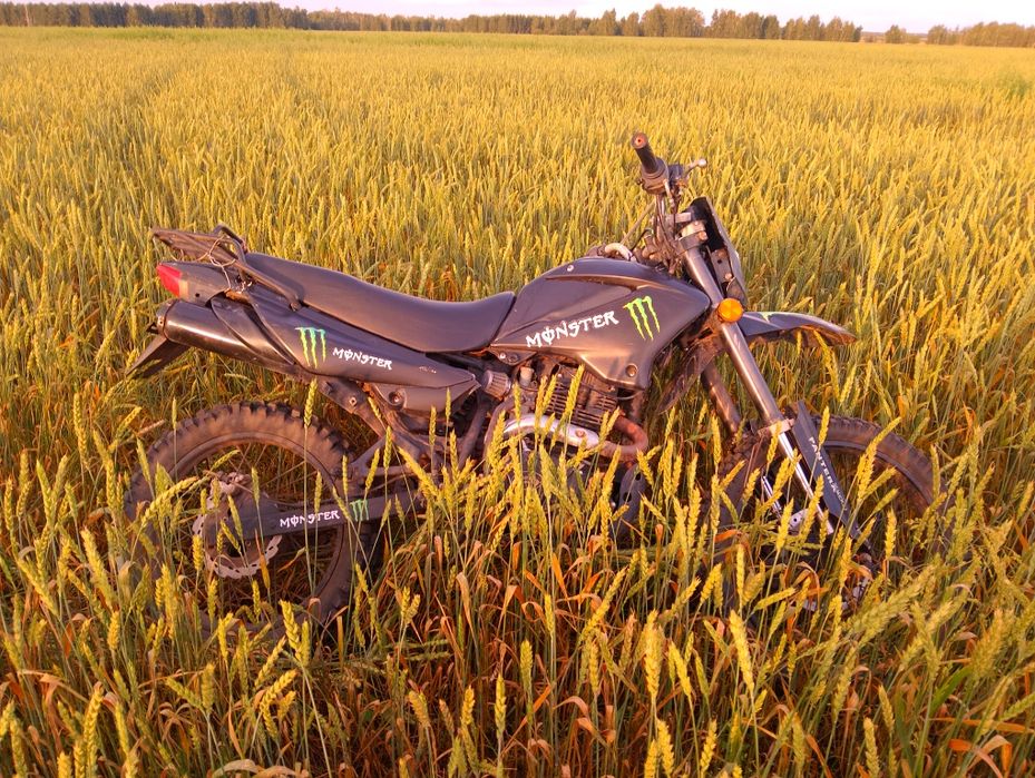 Рейсер пантера 250