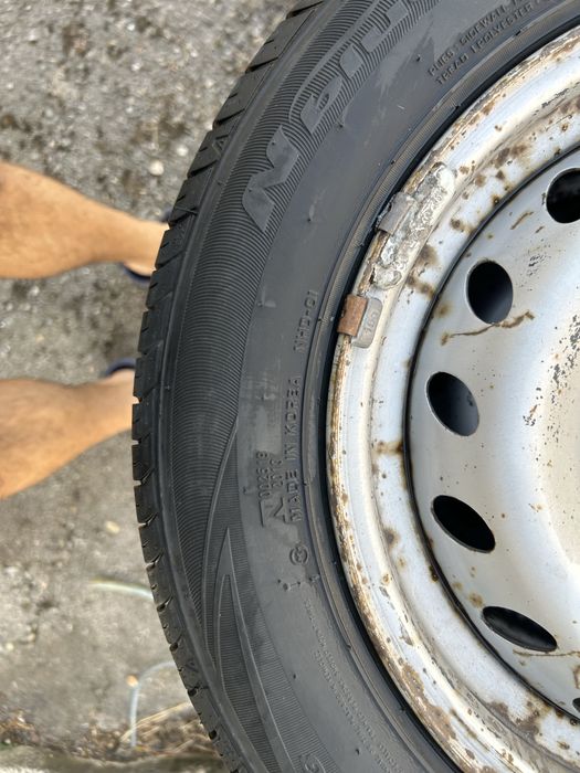 Летни гуми “Nexen” - 1 сезон