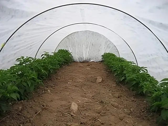 Агроволокно (спанбонд) сифатли Российский Укрывной материал