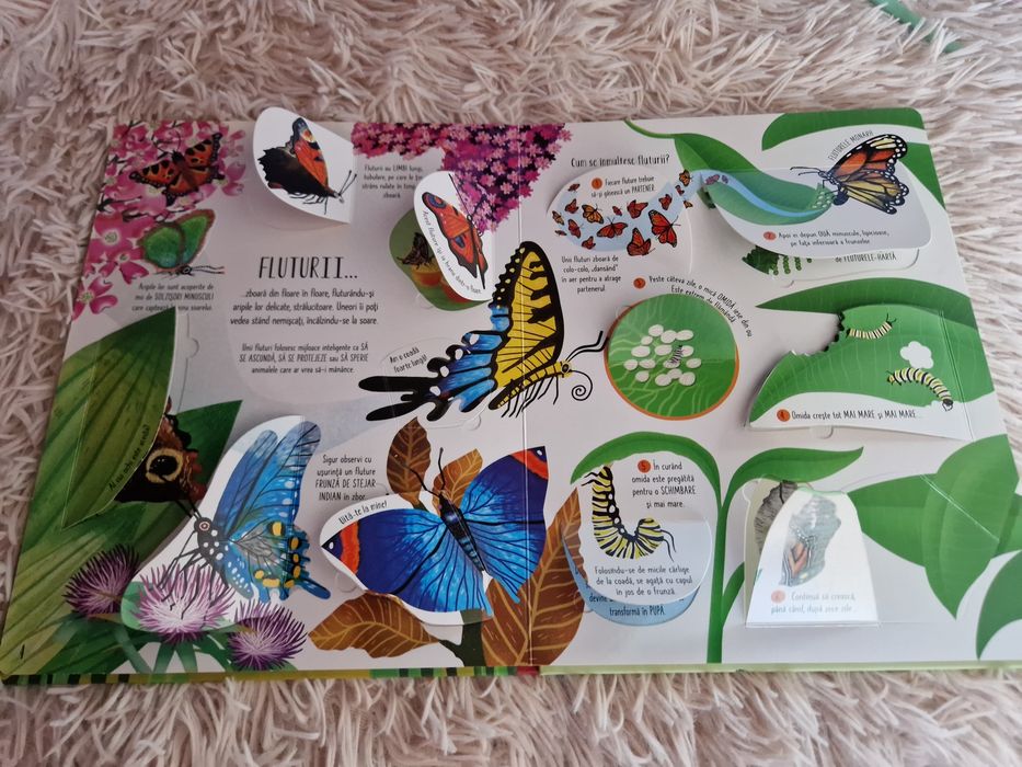 Cărți cu clapete  FLUTURI ȘI ALTE INSECTE