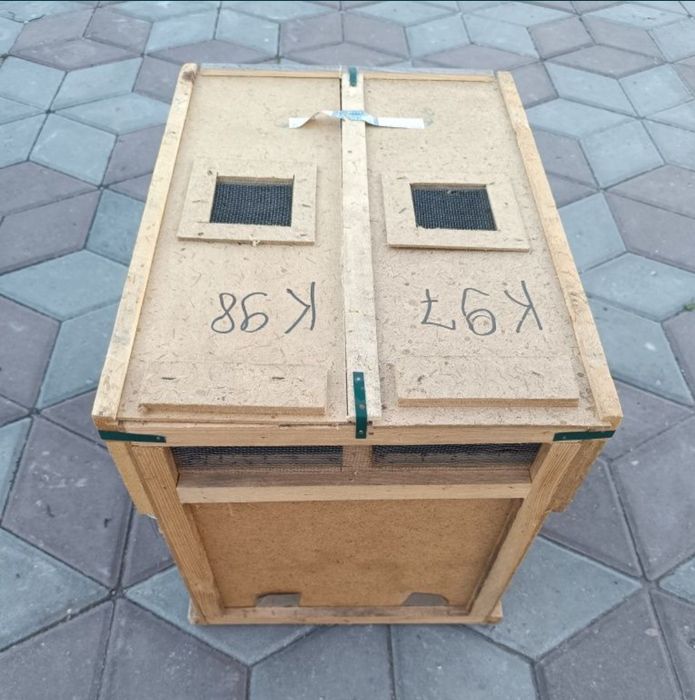 Продам ящики от пчелопакетов