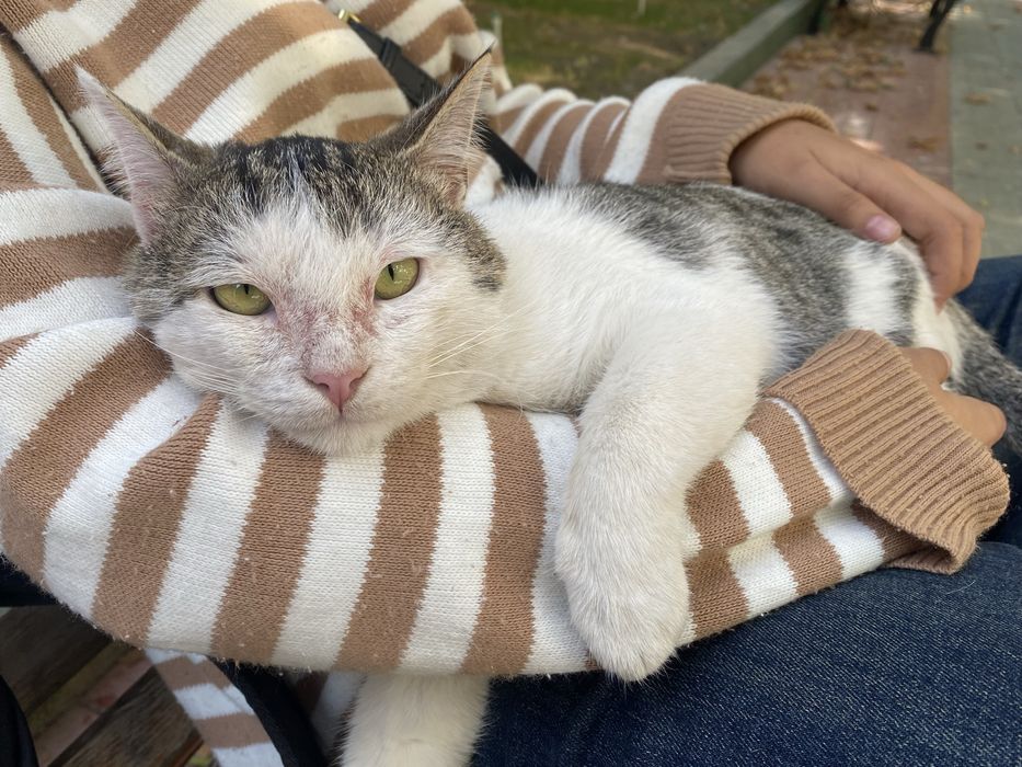 Мушук кидириляпти