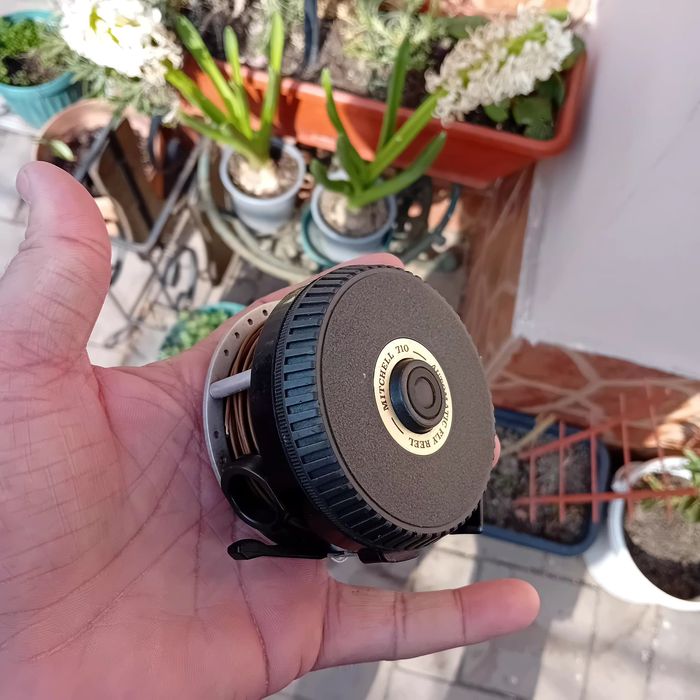 Mulineta pescuit fly