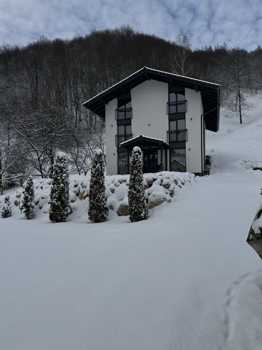 Cazre moieciu de jos 300