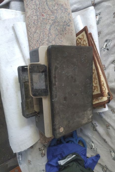 Принтер Hp работает