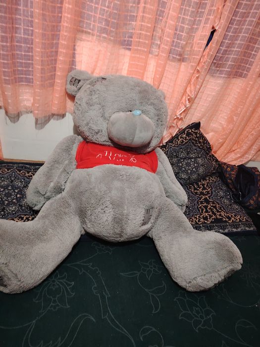 Katta ayiq teddiy