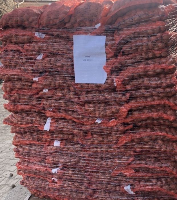 Cartofi de o calitate superioară