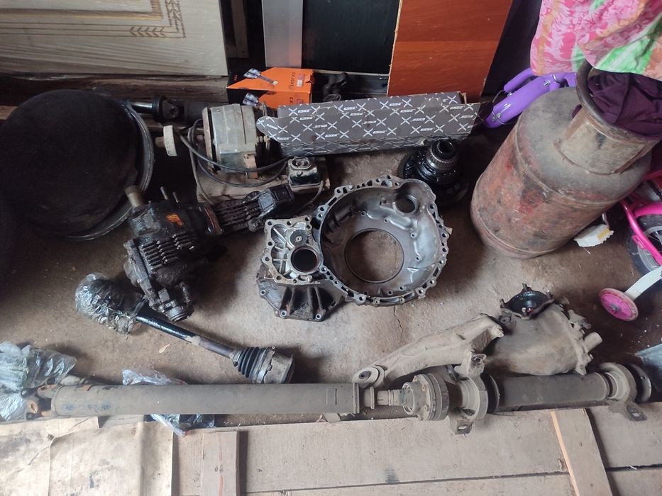 Раздатка 50 мың альфард