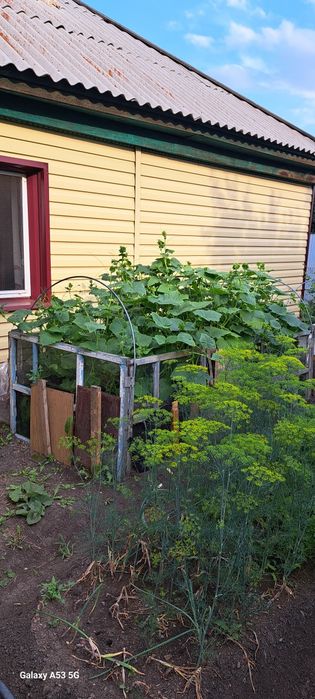 Продам частный дом 6 комнатный