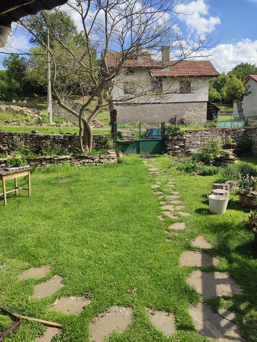 Косене и подръжка на дворове услуги в градината