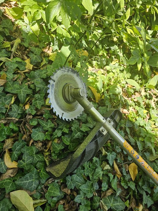 Motocoasa cu disc