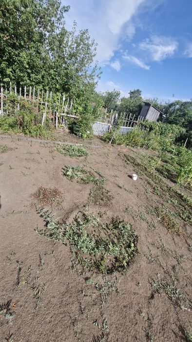 продам дачу в садоводстве Северный