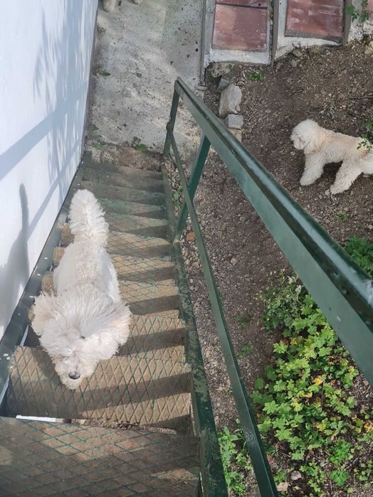 Продава се Къща в с. Луково, Област София-област - 80 кв.м за 765 €/кв.м - Снимка #14