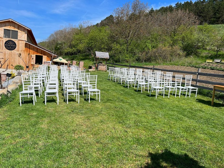 Scaune pentru evenimente de inchiriat (albe Chiavari si maro Crossback)