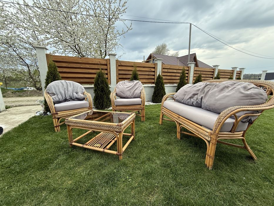Set mobilier de grădină din ratan