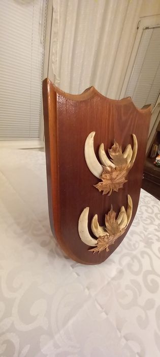 Немски трофеи диво прасе, документ, трофей