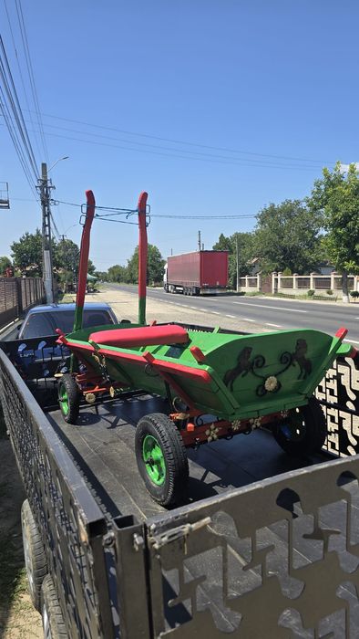 Ponei  armăsar de 4 ani