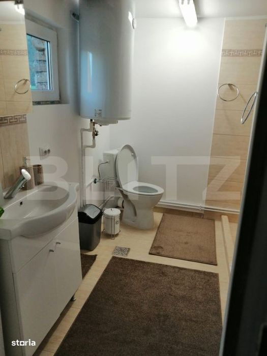 Casa de vanzare, 135 mp si 5 hectare de teren, langa Deva